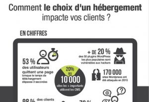 Infographie hébergement internet